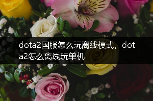 dota2国服怎么玩离线模式，dota2怎么离线玩单机