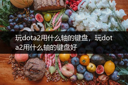 玩dota2用什么轴的键盘，玩dota2用什么轴的键盘好