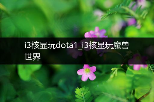 i3核显玩dota1_i3核显玩魔兽世界