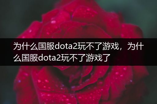 为什么国服dota2玩不了游戏，为什么国服dota2玩不了游戏了