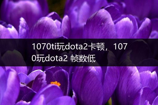 1070ti玩dota2卡顿，1070玩dota2 帧数低