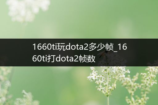 1660ti玩dota2多少帧_1660ti打dota2帧数