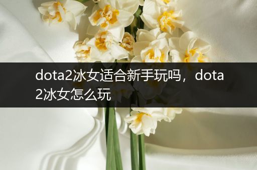 dota2冰女适合新手玩吗，dota2冰女怎么玩