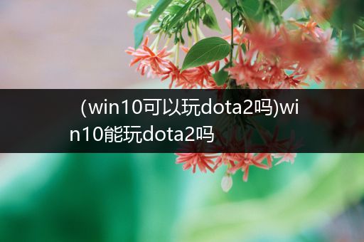 （win10可以玩dota2吗)win10能玩dota2吗