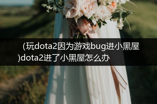 （玩dota2因为游戏bug进小黑屋)dota2进了小黑屋怎么办