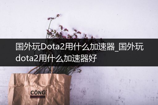 国外玩Dota2用什么加速器_国外玩dota2用什么加速器好