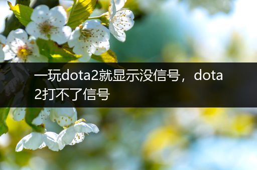 一玩dota2就显示没信号，dota2打不了信号