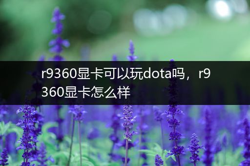 r9360显卡可以玩dota吗，r9360显卡怎么样