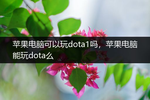 苹果电脑可以玩dota1吗，苹果电脑能玩dota么