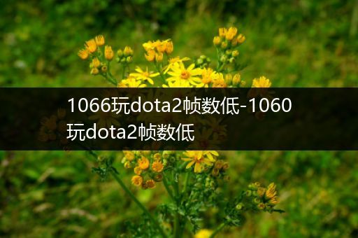 1066玩dota2帧数低-1060玩dota2帧数低