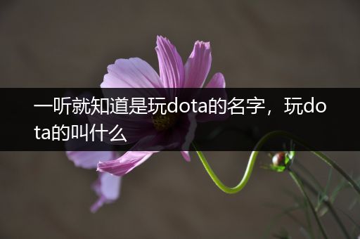 一听就知道是玩dota的名字，玩dota的叫什么