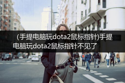 （手提电脑玩dota2鼠标指针)手提电脑玩dota2鼠标指针不见了
