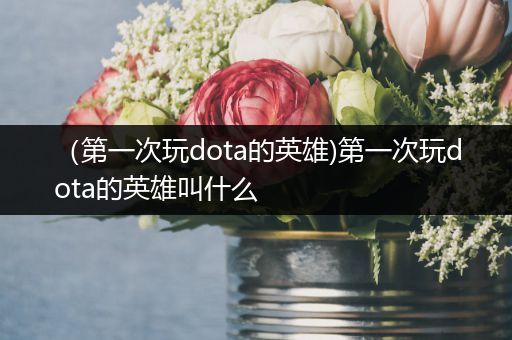 （第一次玩dota的英雄)第一次玩dota的英雄叫什么