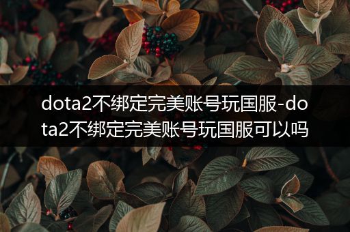 dota2不绑定完美账号玩国服-dota2不绑定完美账号玩国服可以吗