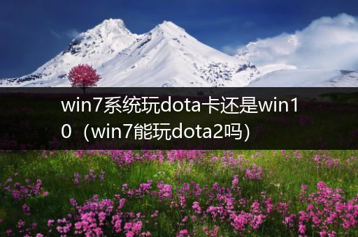 win7系统玩dota卡还是win10（win7能玩dota2吗）