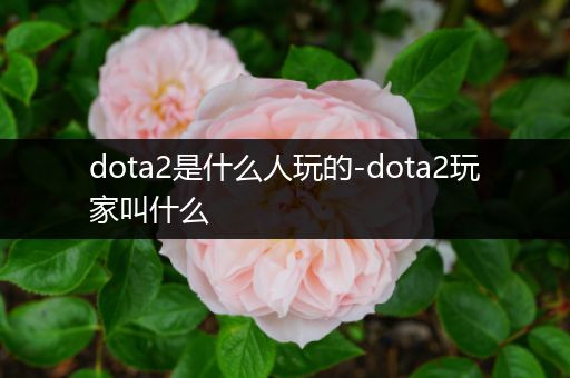 dota2是什么人玩的-dota2玩家叫什么