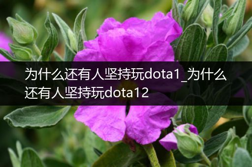 为什么还有人坚持玩dota1_为什么还有人坚持玩dota12