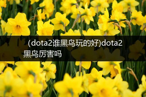 （dota2谁黑鸟玩的好)dota2黑鸟厉害吗