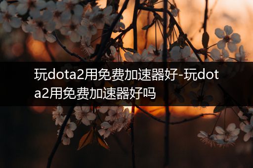 玩dota2用免费加速器好-玩dota2用免费加速器好吗
