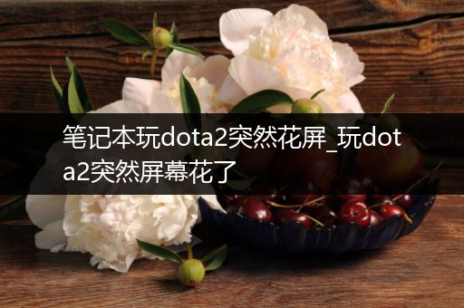 笔记本玩dota2突然花屏_玩dota2突然屏幕花了