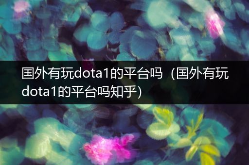 国外有玩dota1的平台吗（国外有玩dota1的平台吗知乎）