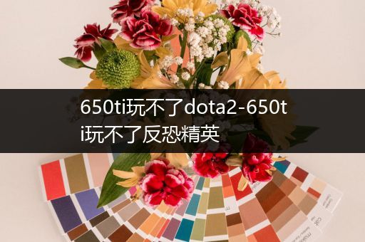 650ti玩不了dota2-650ti玩不了反恐精英