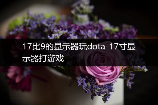 17比9的显示器玩dota-17寸显示器打游戏