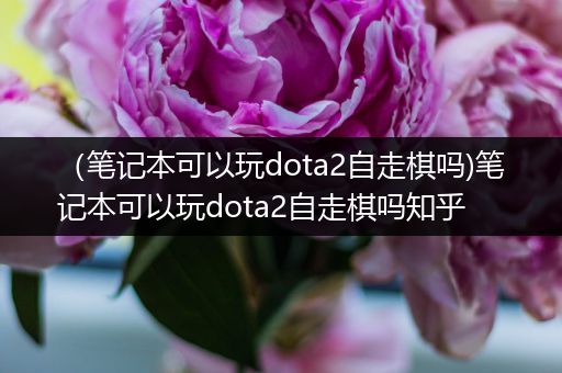 （笔记本可以玩dota2自走棋吗)笔记本可以玩dota2自走棋吗知乎