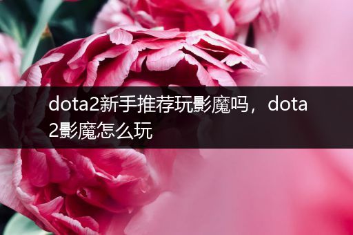 dota2新手推荐玩影魔吗，dota2影魔怎么玩