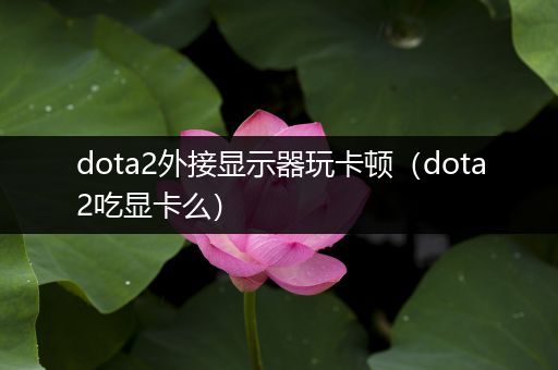 dota2外接显示器玩卡顿（dota2吃显卡么）