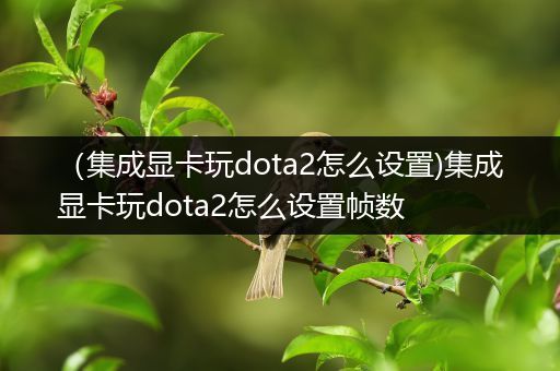 （集成显卡玩dota2怎么设置)集成显卡玩dota2怎么设置帧数