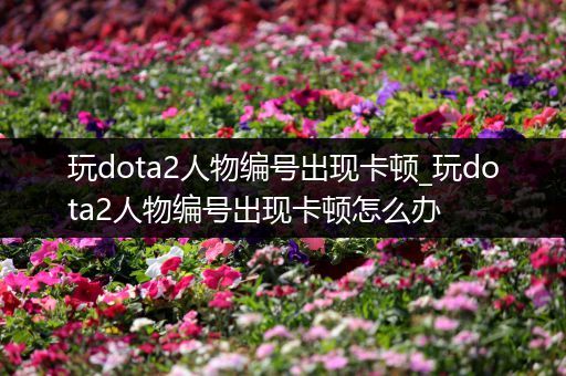 玩dota2人物编号出现卡顿_玩dota2人物编号出现卡顿怎么办