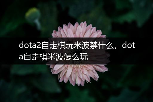 dota2自走棋玩米波禁什么，dota自走棋米波怎么玩