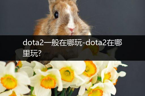 dota2一般在哪玩-dota2在哪里玩?