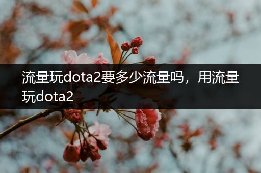 流量玩dota2要多少流量吗，用流量玩dota2