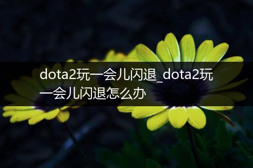 dota2玩一会儿闪退_dota2玩一会儿闪退怎么办