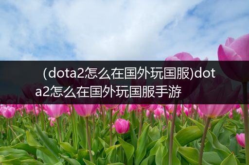 （dota2怎么在国外玩国服)dota2怎么在国外玩国服手游