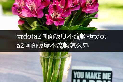 玩dota2画面极度不流畅-玩dota2画面极度不流畅怎么办