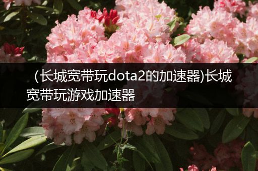 （长城宽带玩dota2的加速器)长城宽带玩游戏加速器