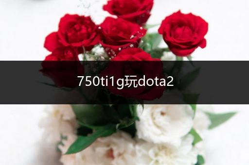 750ti1g玩dota2