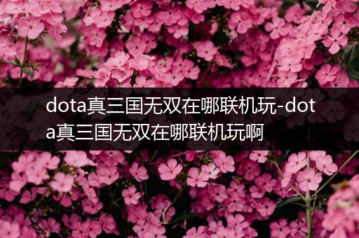 dota真三国无双在哪联机玩-dota真三国无双在哪联机玩啊