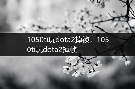 1050ti玩dota2掉祯，1050ti玩dota2掉帧