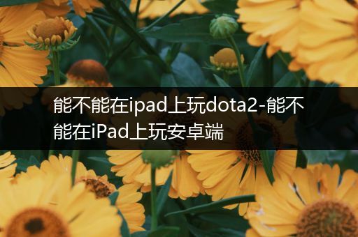 能不能在ipad上玩dota2-能不能在iPad上玩安卓端