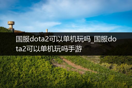 国服dota2可以单机玩吗_国服dota2可以单机玩吗手游