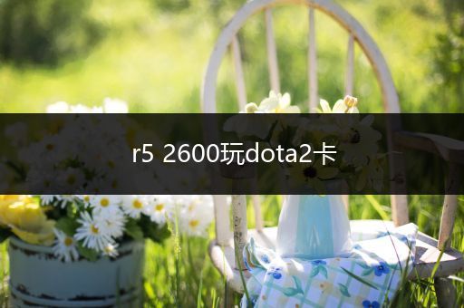 r5 2600玩dota2卡