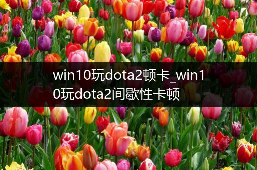 win10玩dota2顿卡_win10玩dota2间歇性卡顿