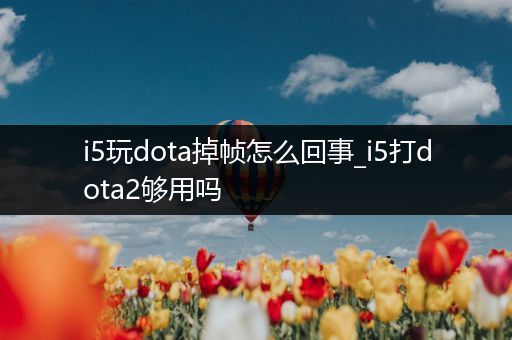 i5玩dota掉帧怎么回事_i5打dota2够用吗