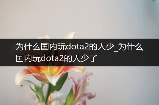 为什么国内玩dota2的人少_为什么国内玩dota2的人少了