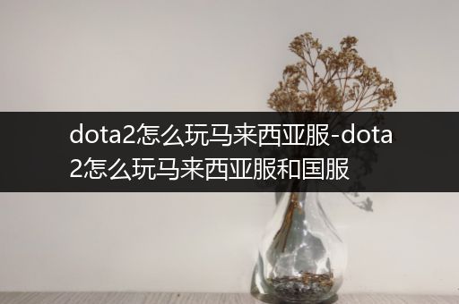 dota2怎么玩马来西亚服-dota2怎么玩马来西亚服和国服