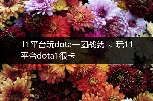 11平台玩dota一团战就卡_玩11平台dota1很卡